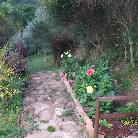 Il Sambro Bettona